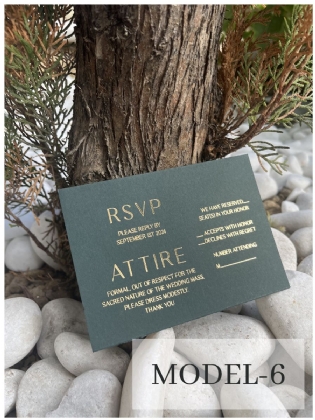 Rsvp Model 6
